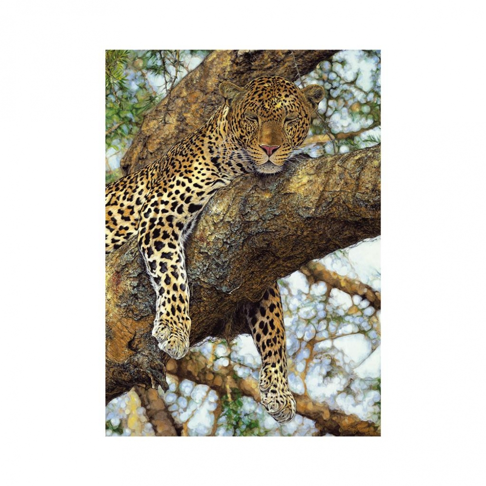 dino-pusle-1000-tk-leopard-1