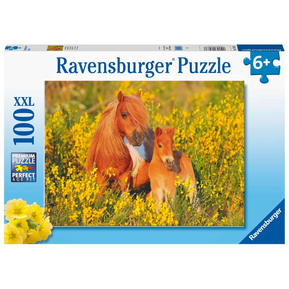 ravensburger-pusle-100-tk-ponid-2