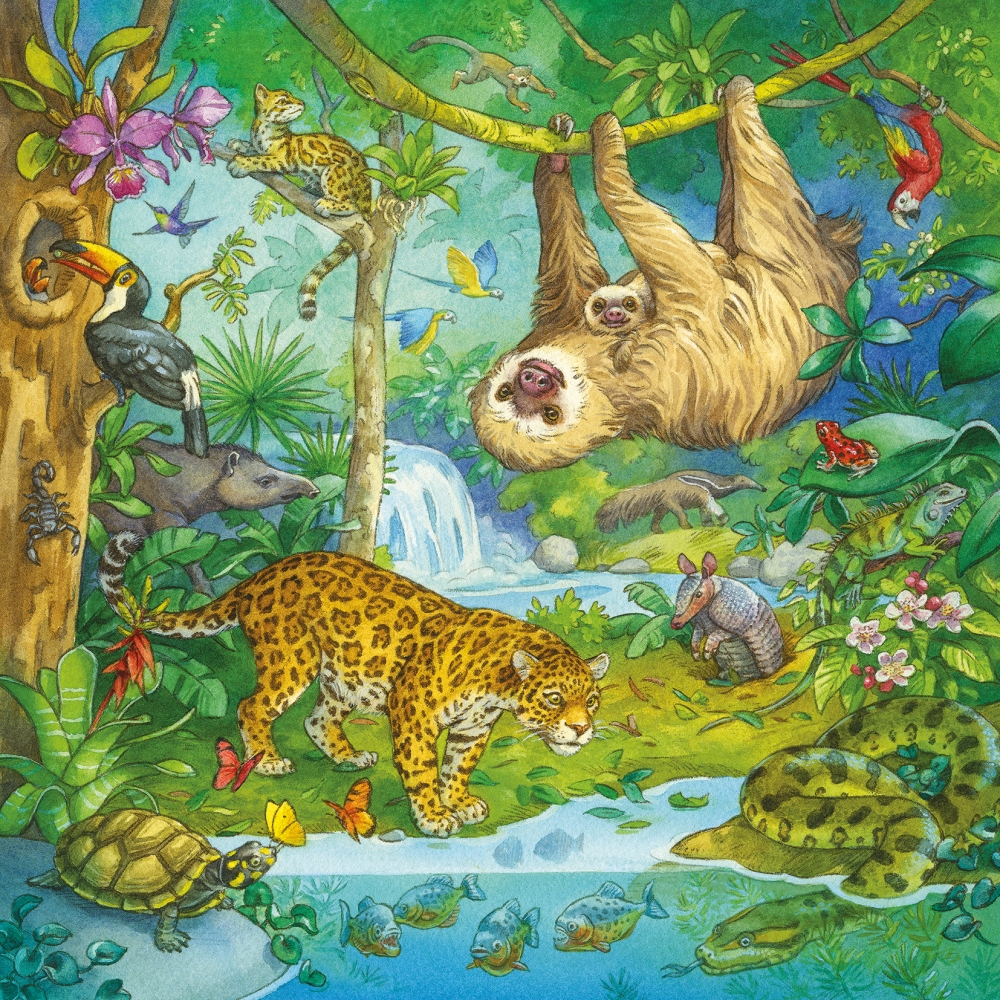 ravensburger-pusle-3×49-tk-dzungli-lobu-1