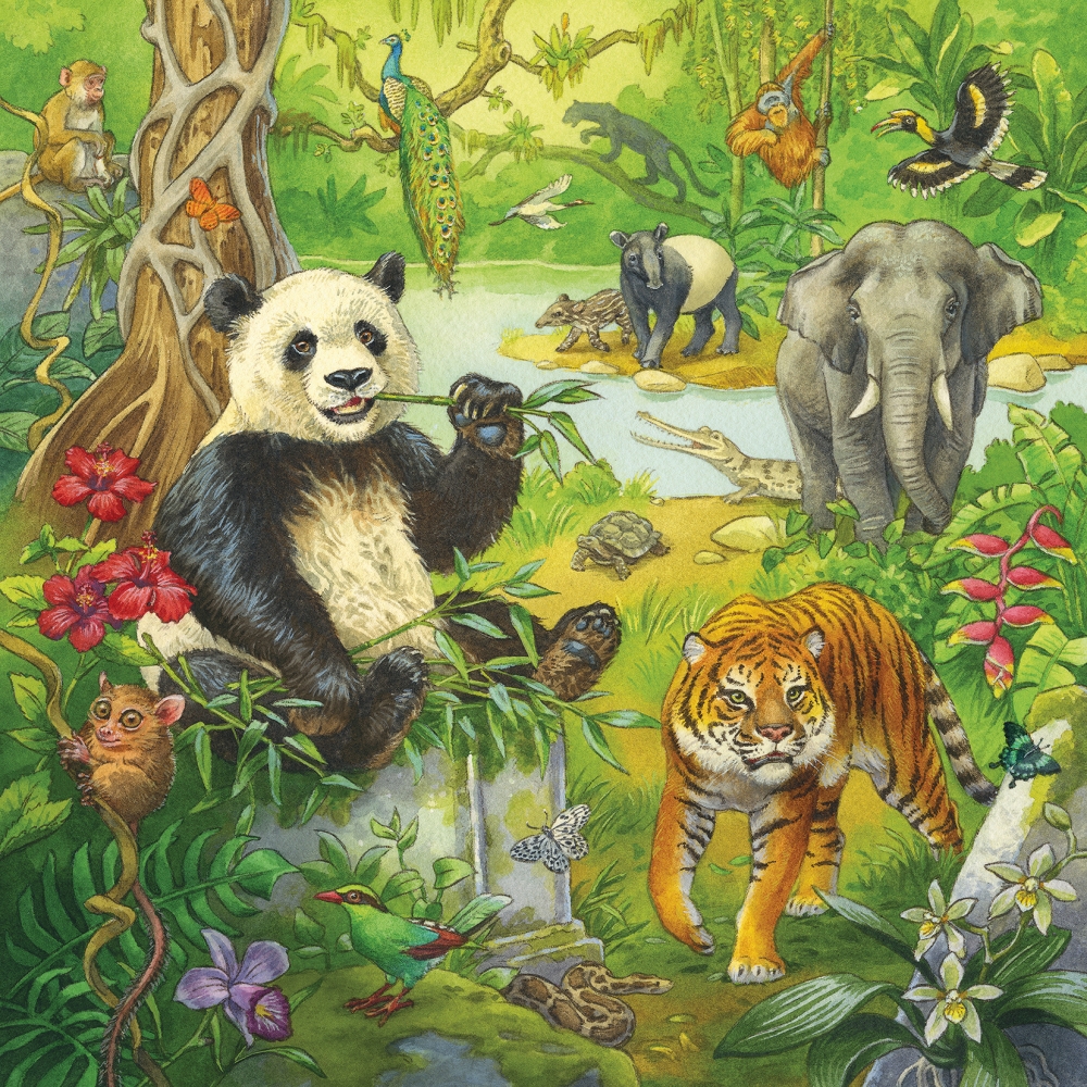 ravensburger-pusle-3×49-tk-dzungli-lobu-2