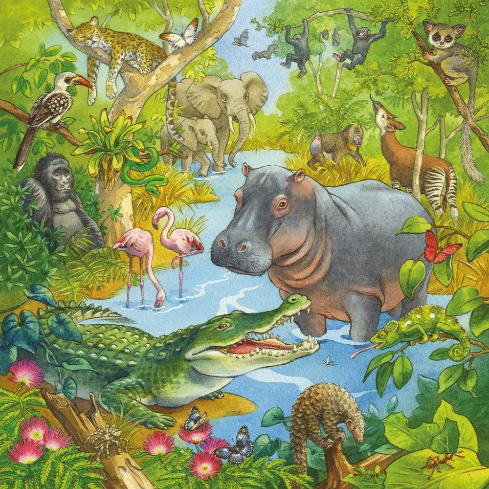 ravensburger-pusle-3×49-tk-dzungli-lobu-3
