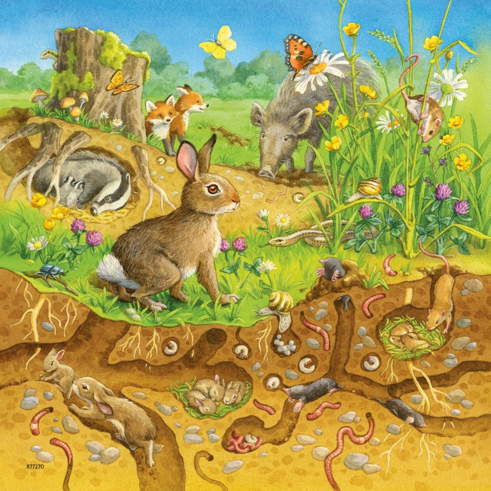 ravensburger-pusle-3×49-tk-loomad-10