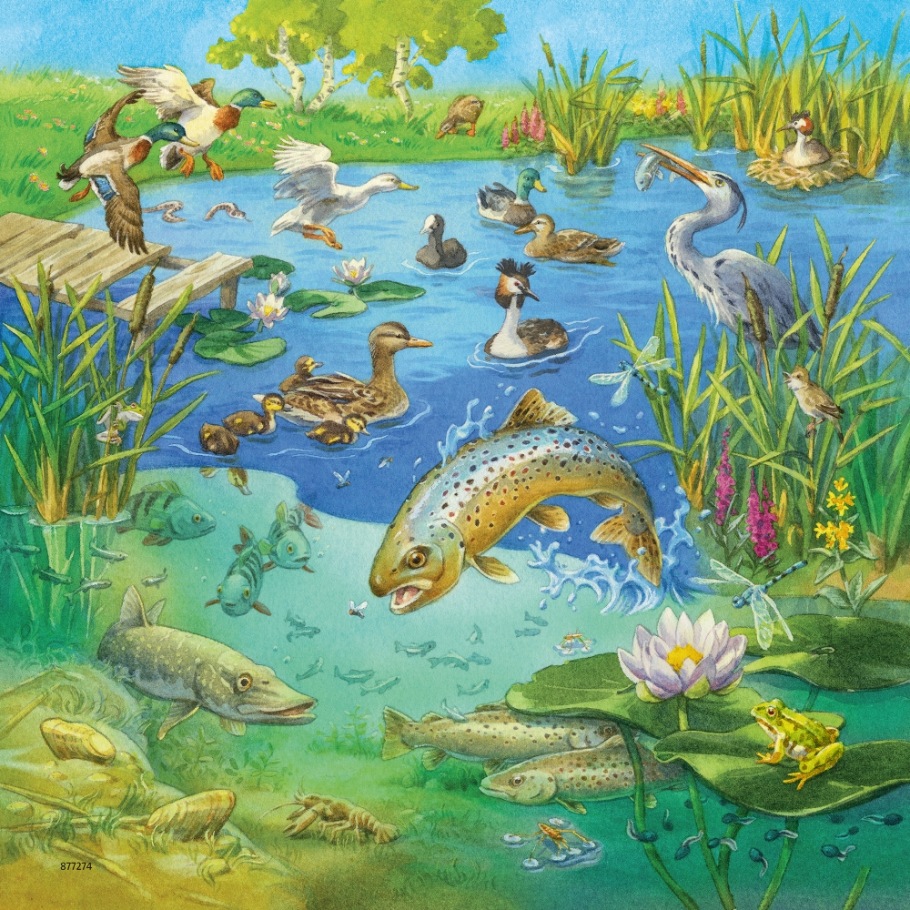 ravensburger-pusle-3×49-tk-loomad-5