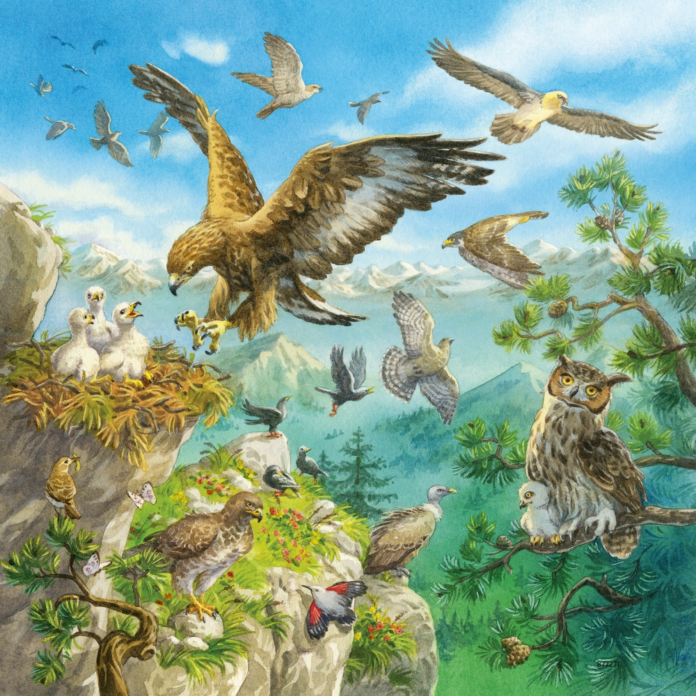 ravensburger-pusle-3×49-tk-loomad-9