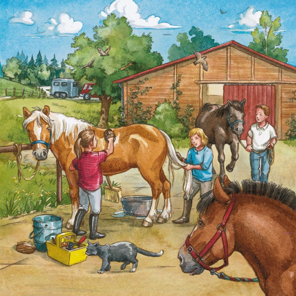ravensburger-pusle-3×49-tk-paev-hobusteg-2
