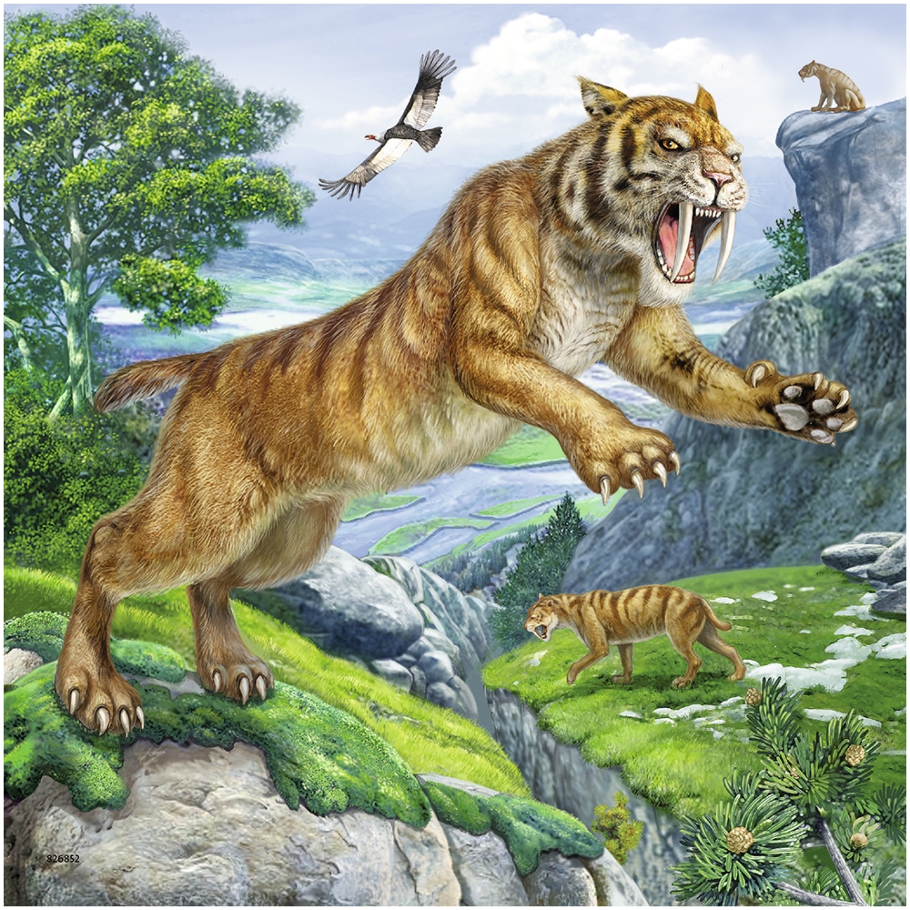 ravensburger-pusle-3×49-tk-urgne-valitse-4