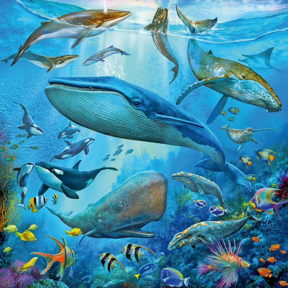 ravensburger-pusle-3×49-veealune-maailm-1