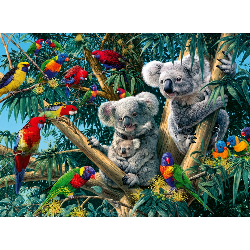 ravensburger-pusle-500-tk-koaalad-puul-2