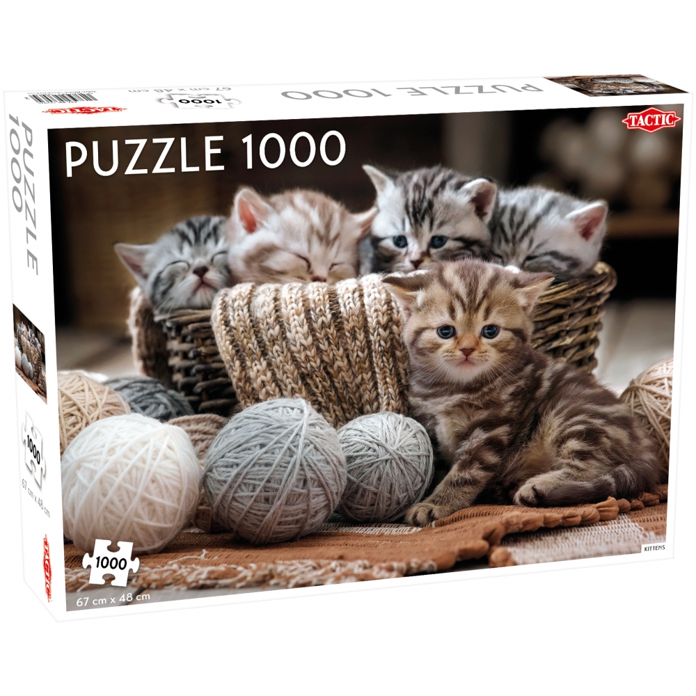 tactic-pusle-1000-tk-armsad-kassipojad-1