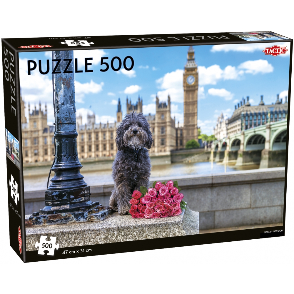 tactic-pusle-500-tk-koer-londonis