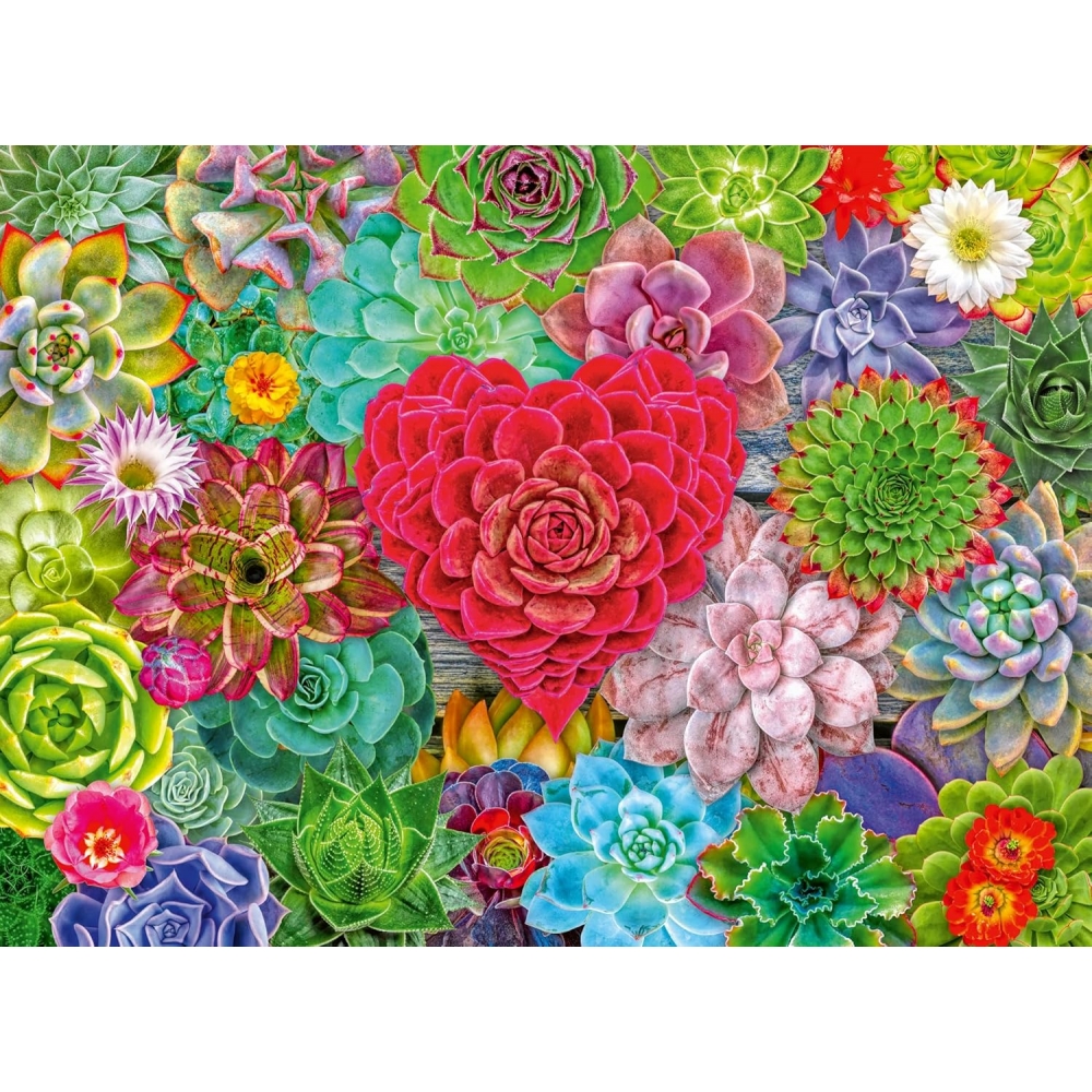 ravensburger-pusle-500-tk-sukulentide-a-1